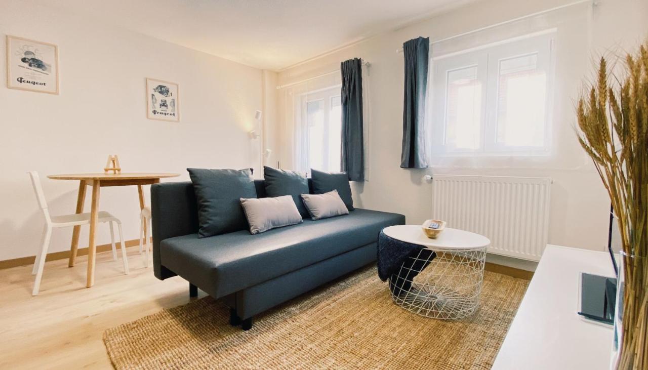 House 301 - Chaleureux - Wifi Haut Debit Vieux-Charmont Luaran gambar